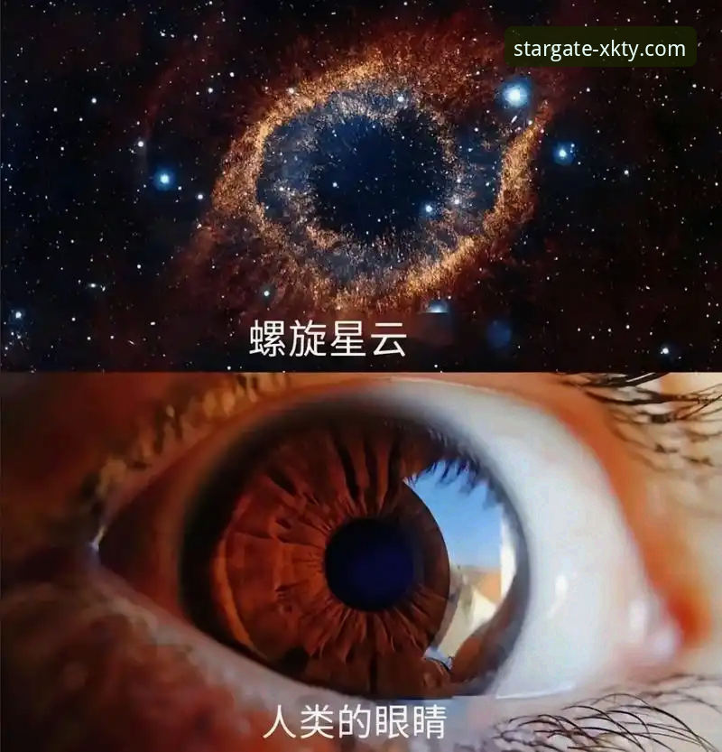 揭秘星空体育最新版App评测：版本更新背后的用户真实体验与行业趋势